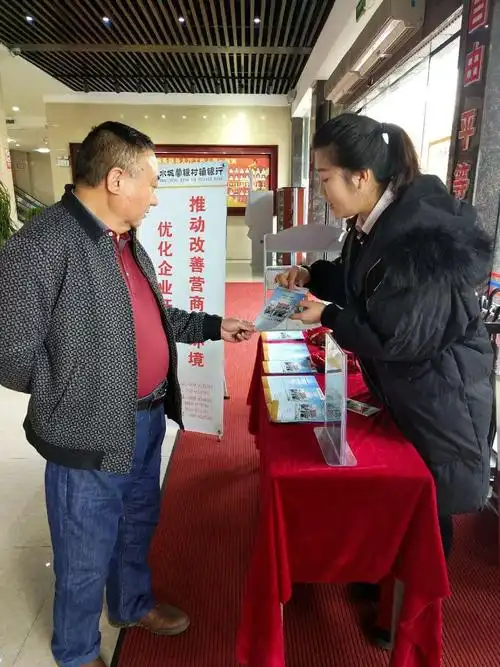 摄像头项目机是什么意思